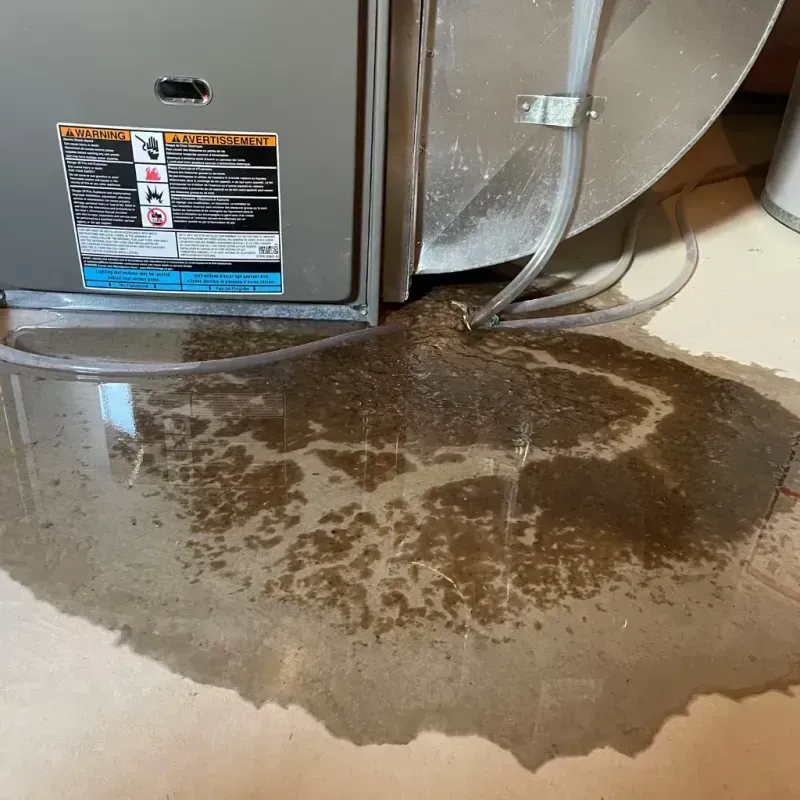 Appliance Leak Cleanup in Everett, WA